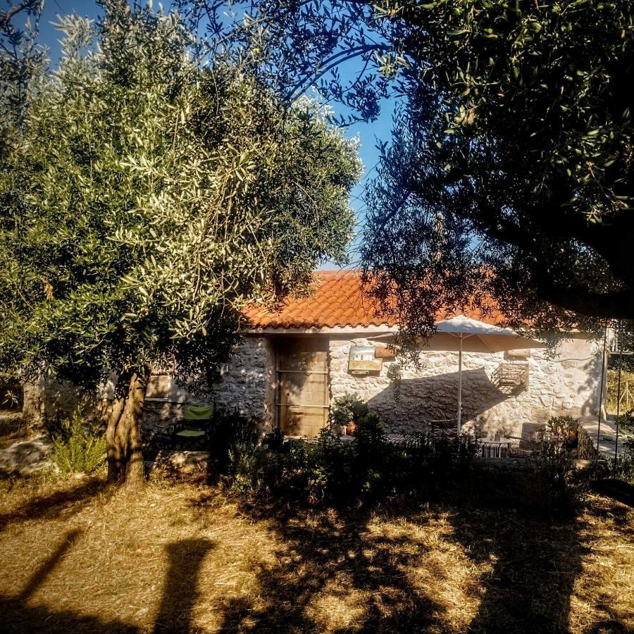 Sofias Cottage Ellinikón エクステリア 写真