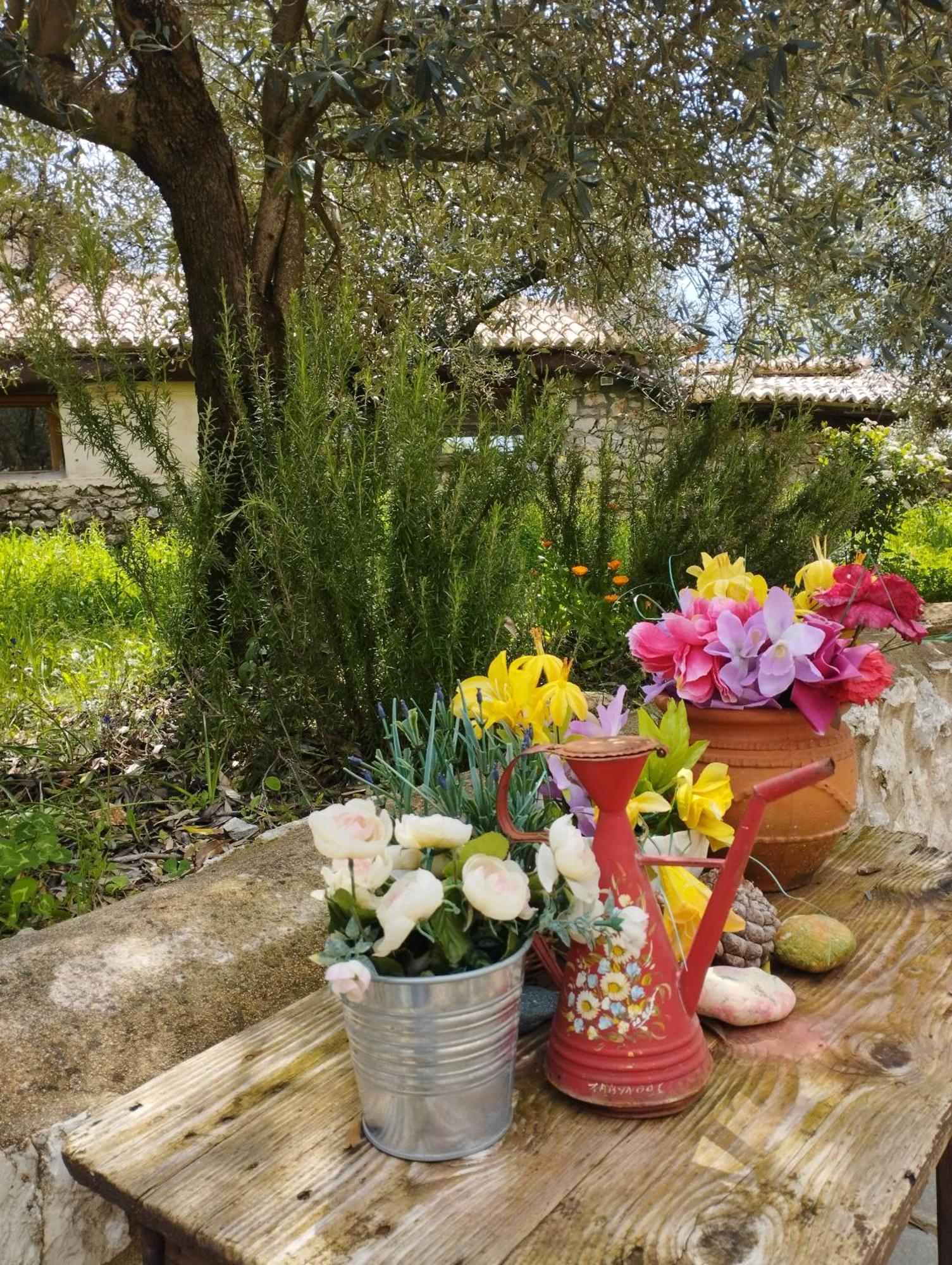 Sofias Cottage Ellinikón エクステリア 写真