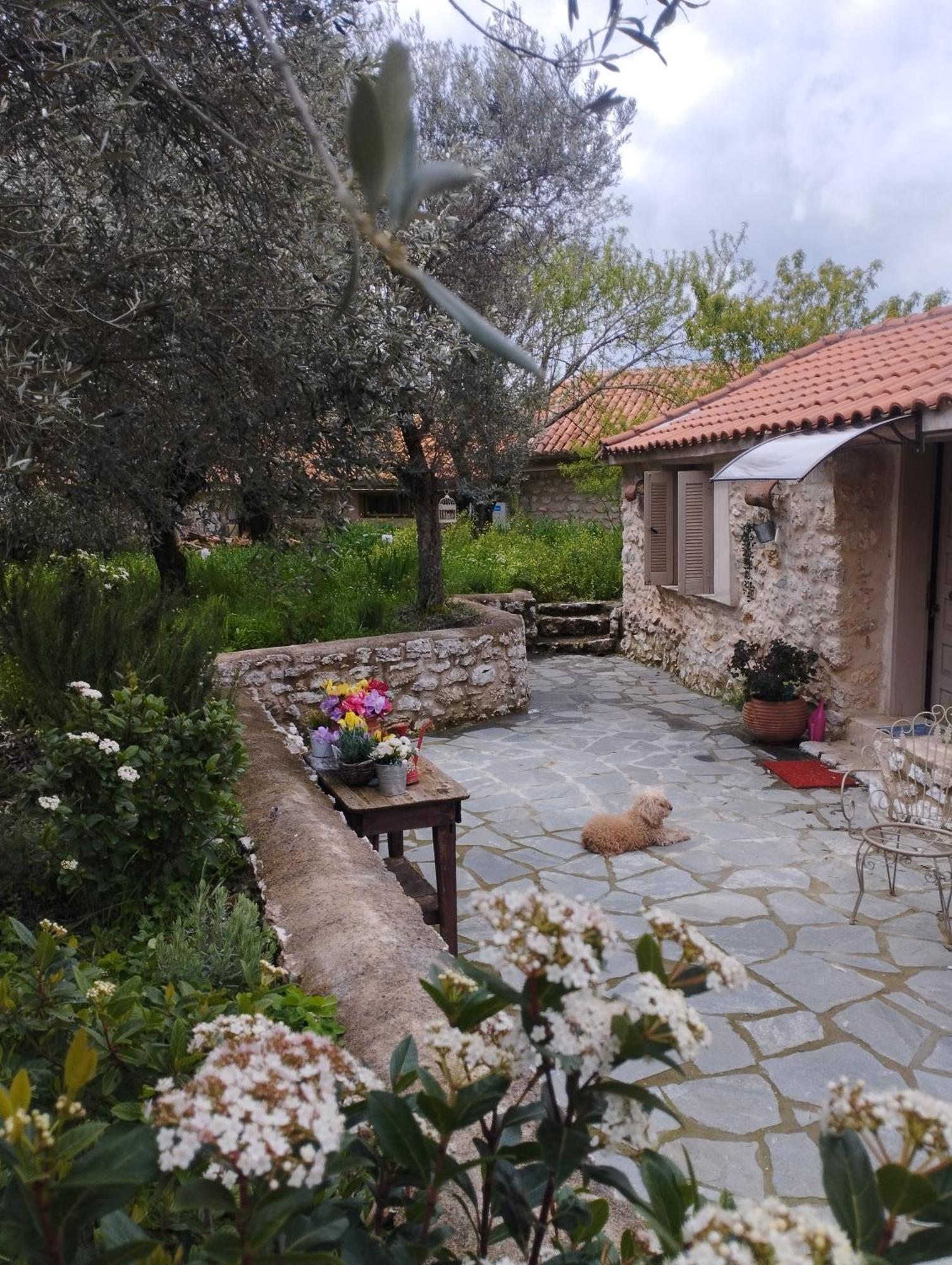 Sofias Cottage Ellinikón エクステリア 写真