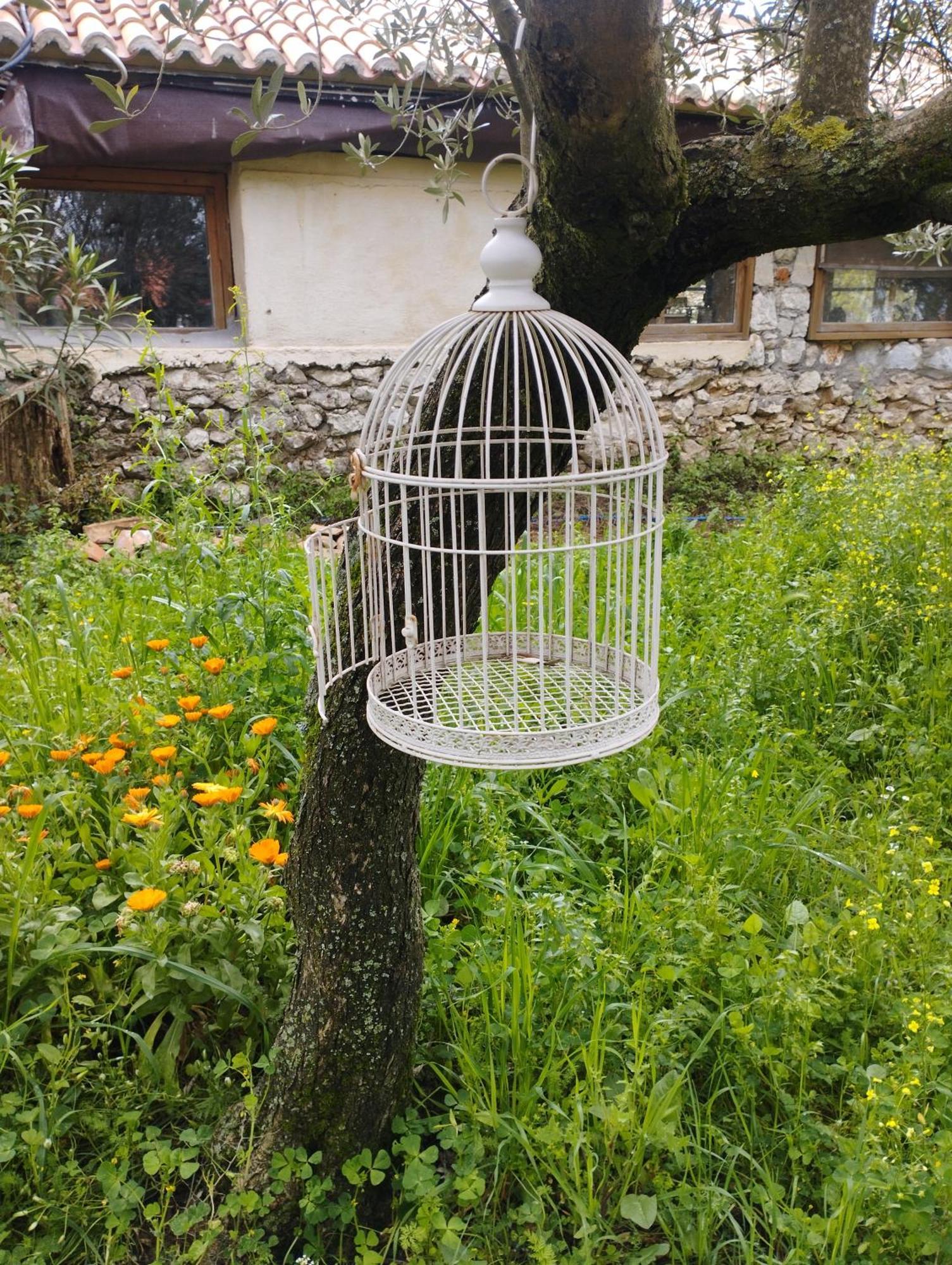 Sofias Cottage Ellinikón エクステリア 写真